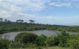 68 ha Smallholding in Grahamstown