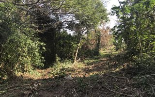 1100 m² Land available in Zinkwazi Beach