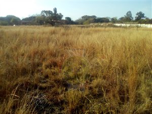 8.1 ha Land available in North Riding AH