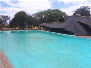 1721 ha Farm in Musina