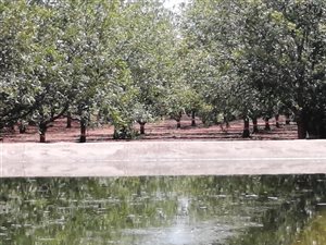 25.6 ha Farm in Hartswater