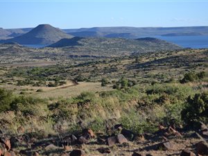 2624 ha Farm in Luckhoff