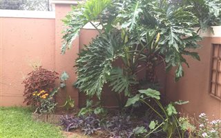 2 Bedroom Townhouse in Vaalpark