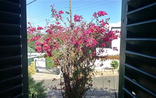 3 Bedroom House in De Rust