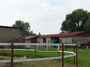 22 ha Farm in Deneysville
