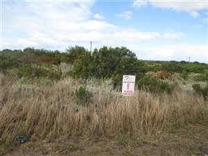1200 m² Land available in Dana Bay