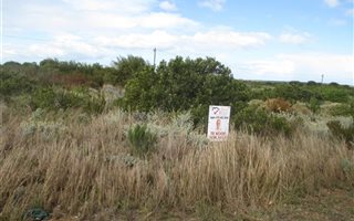1200 m² Land available in Dana Bay