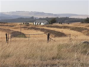 9 ha Farm in Lions River
