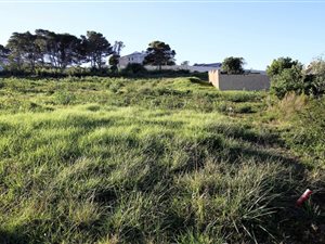 1361 m² Land available in Whale Rock