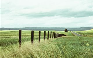26.8 ha Land available in Mountain View