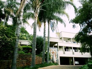 7 Bed House in Menlo Park
