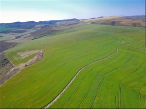 960 ha Farm in Swellendam