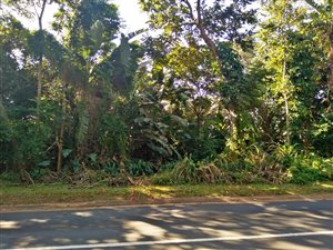 1590 m² Land available in Marina Beach