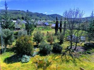3 Bed House in Barrydale