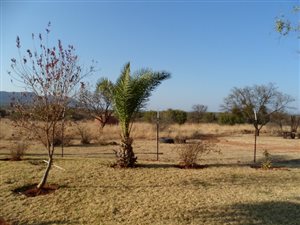 21.4 ha Farm in Koster