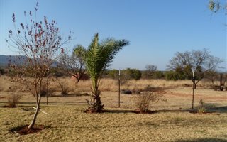 21.4 ha Farm in Koster