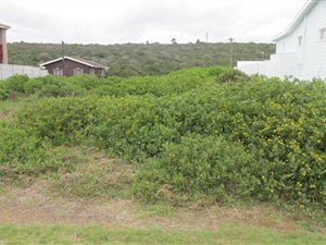 674 m² Land available in Reebok