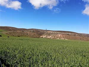 1506 ha Farm in Swellendam
