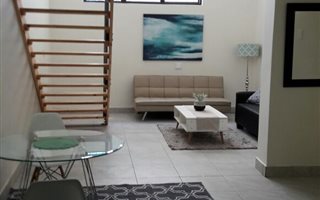 Loft in City & Suburban (Maboneng)