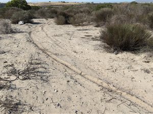 5000 m² Land available in Club Mykonos