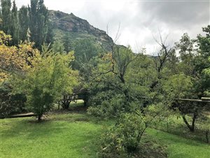 1029 m² Land available in Clarens