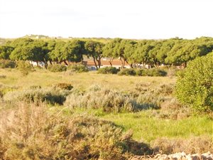 754 m² Land available in Langebaan Country Estate