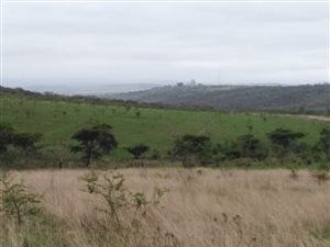 Farm in Albert Falls