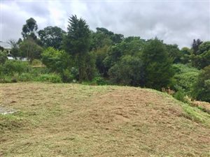 1461 m² Land available in Howick