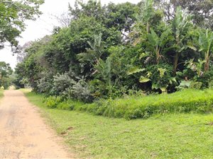 1015 m² Land available in Leisure Bay