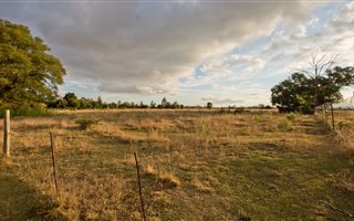 4 Bedroom House in Tarlton