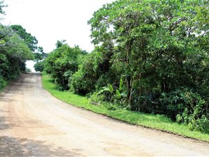 2490 m² Land available in Palm Beach