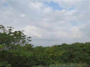 2 Bed Apartment in Stanger
