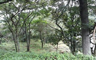 3157 m² Land available in Dawncliffe
