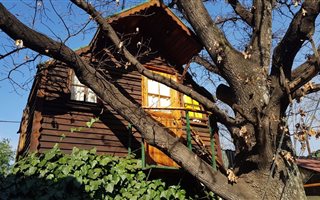 Bachelor apartment in Eureka