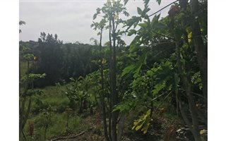 6931 m² Land available in Shakaskraal