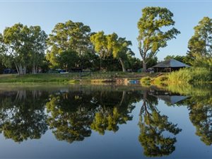 6.8 ha Farm in Swellendam