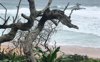 2148 m² Land available in Zinkwazi Beach
