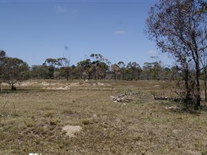 2 ha Land available in Greenbushes