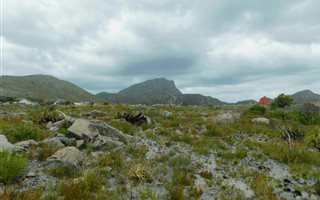 588 m² Land available in Pringle Bay