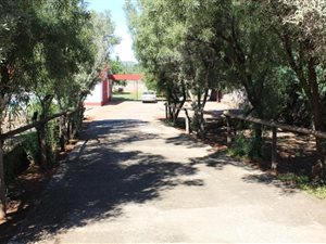 3 Bed House in Barkly West