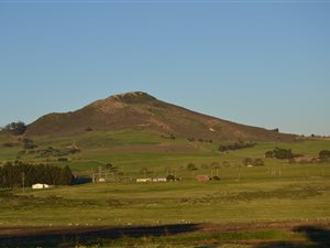 18 ha Farm in Stellenbosch Central