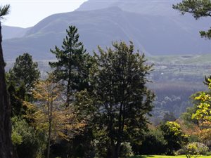 1318 m² Land available in Dormehlsdrift
