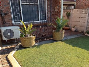 3 Bed Townhouse in Newcastle Central