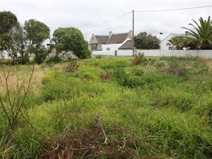 660 m² Land available in Arniston
