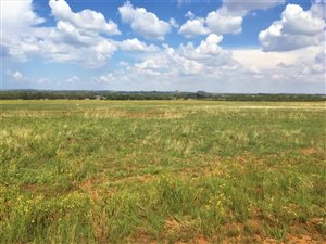 8 ha Land available in Bainsvlei