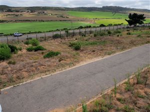 614 m² Land available in Reebok