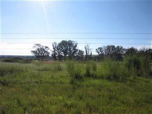 3 ha Farm in Witbank Central