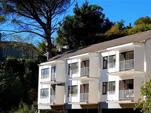 1 Bed Apartment in Higgovale