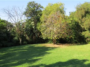 2100 m² Land available in Grayleigh