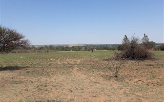 8.5 ha Land available in Grootvlei